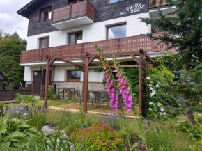 Гостиница Apartment Harrachov/Riesengebirge 2400  Гаррахов